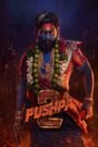 Pushpa 2 – The Rule (2024) Hindi ORG HDRip 480p, 720p & 1080p GDrive