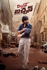 Mr Bachchan (2024) WEB-DL [Hindi ORG. 2.0 + Telugu 5.1] 480p, 720p & 1080p GDrive