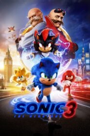 Sonic the Hedgehog 3 2024 English Movie Web-DL ESubs 480p, 720p & 1080p GDrive